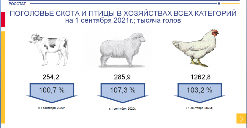 Животноводство Чеченской Республики за январь-сентябрь 2021 года