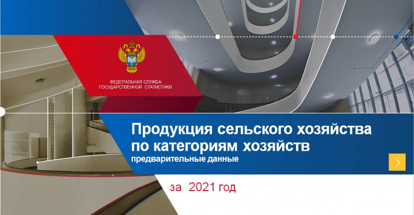 Продукция сельского хозяйства по категориям хозяйств (предварительные данные) за 2021 год