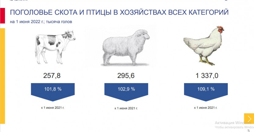 Состояние животноводства  в хозяйствах всех категорий Чеченской Республики за январь-май 2022 года