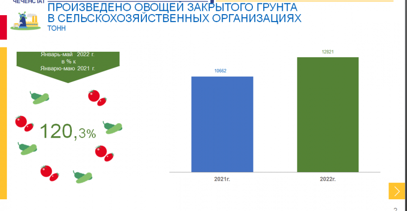 Производство овощей закрытого грунта в сельскохозяйственных организациях Чеченской Республики за январь-май 2022 года